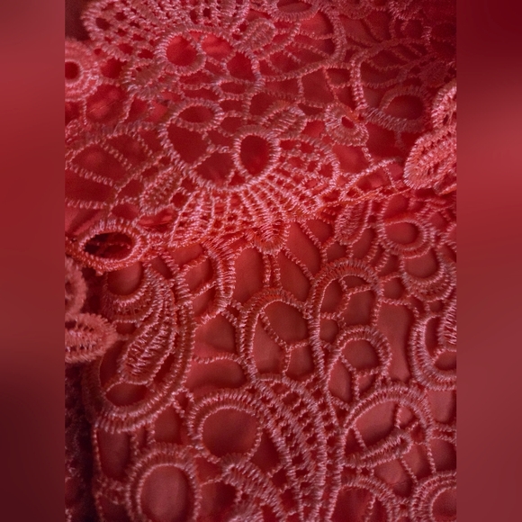 NWOT Antonio Melani Lace Sheath Coral Dress Size 0 - Picture 14 of 16